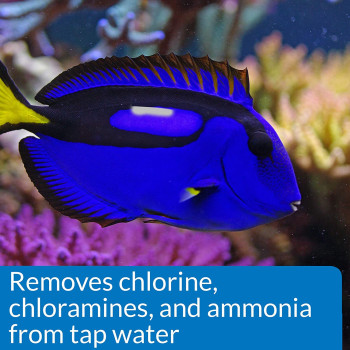 API Marine Stress Coat 16 OZ