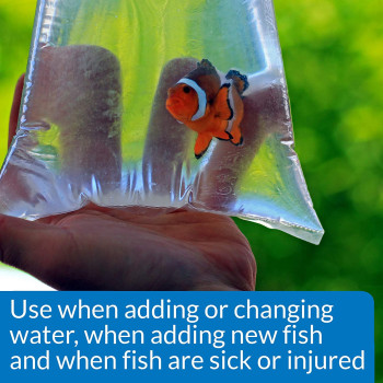 API Marine Stress Coat 16 OZ