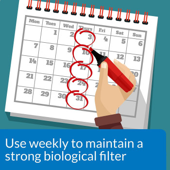 API Stress Zyme 4 OZ