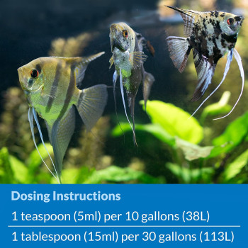 API Stress Zyme 4 OZ