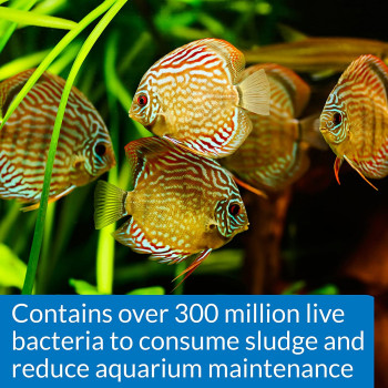 API Stress Zyme 16 OZ