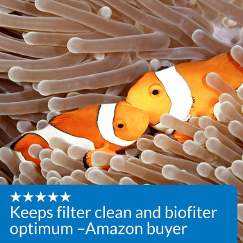 API Marine Stress Zyme 16 OZ