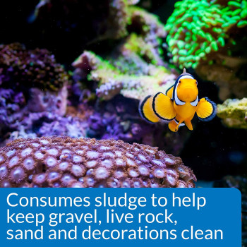 API Marine Stress Zyme 16 OZ