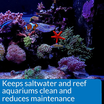 API Marine Stress Zyme 16 OZ