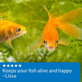 API Goldfish Care Pack of 2 1.25 OZ