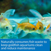 API Goldfish Care Pack of 2 1.25 OZ