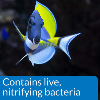 API Marine Quick Start 16 OZ