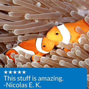 API Marine Quick Start 16 OZ