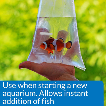 API Marine Quick Start 16 OZ