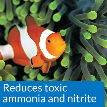 API Marine Quick Start 16 OZ