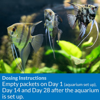 API Aquarium Start Up Pack of 2