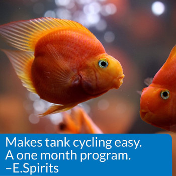 API Aquarium Start Up Pack of 2