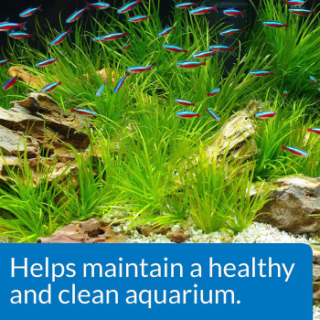 API Aquarium Start Up Pack of 2