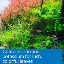 API Leaf Zone Freshwater Plant Fertilizer 8 OZ
