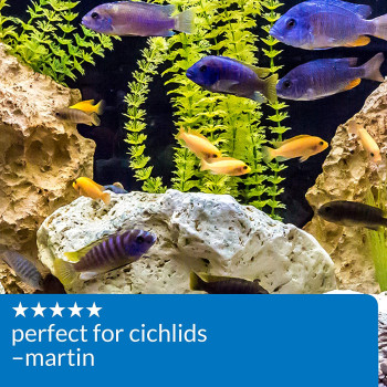 API Proper pH 8.2 Powder 7.1 OZ