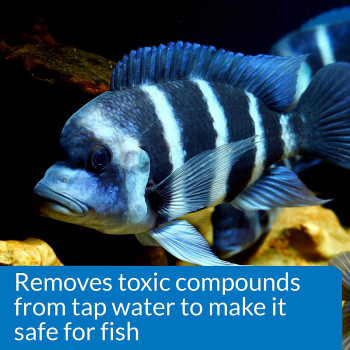 API Proper pH 8.2 Powder 7.1 OZ