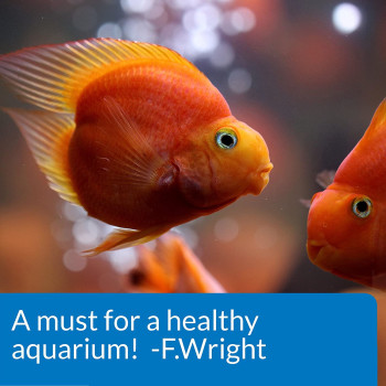 API Freshwater Aquarium Salt 16 OZ