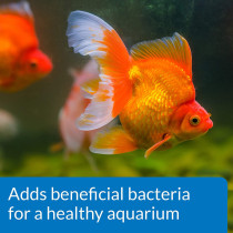 API Goldfish Protect 4 OZ