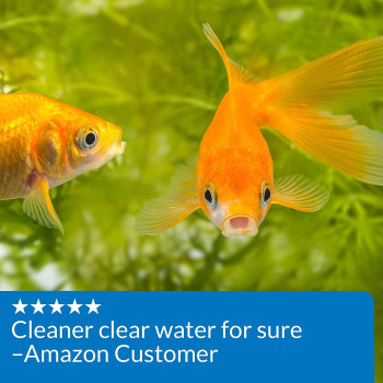 API Goldfish Protect 4 OZ