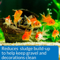 API Goldfish Protect 4 OZ