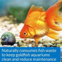 API Goldfish Protect 4 OZ