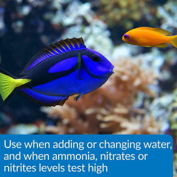 API Aqua Essential 16 Oz