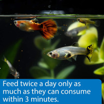 API Mini Pellets Tropical Fish Food 1.7 OZ