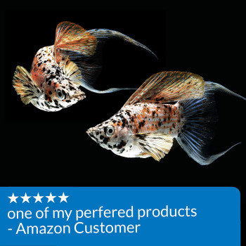 API Mini Pellets Tropical Fish Food 1.7 OZ