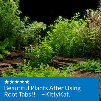 API Root Tabs Aquarium Plant Fertilizer 10 count
