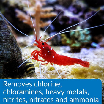 API Aqua Essential 4 Oz