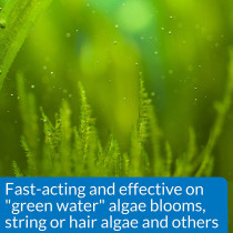 API Algaefix 1.25 OZ