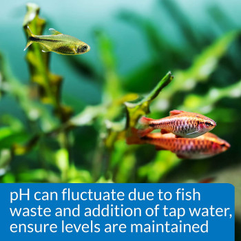 API pH Freshwater Aquarium Test Kit 250 count