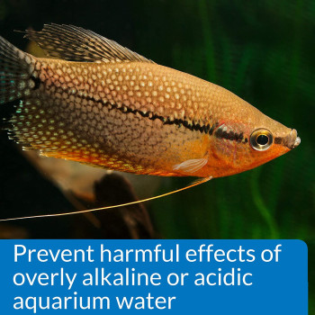 API pH Freshwater Aquarium Test Kit 250 count