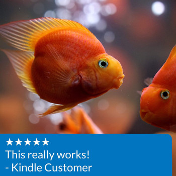 API pH Freshwater Aquarium Test Kit 250 count