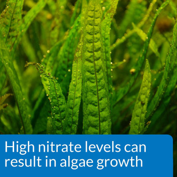 API Nitrate NO3 Test Kit 90 count