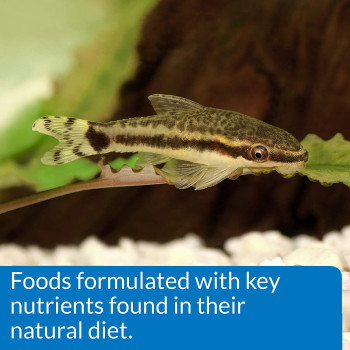 API Bottom Feeder Pellets with Shrimp 4 OZ