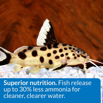 API Bottom Feeder Pellets with Shrimp 4 OZ