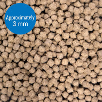 API Bottom Feeder Pellets with Shrimp 4 OZ