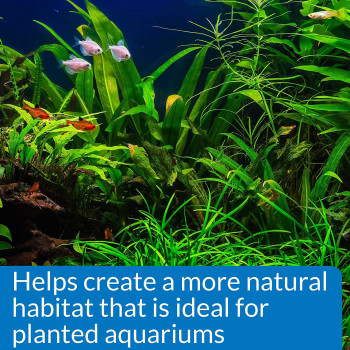 API GH & KH General & Carbonate Hardness Test Kit