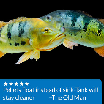 API Large Pellets Cichlid Fish Food 7.1 OZ