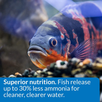 API Large Pellets Cichlid Fish Food 7.1 OZ