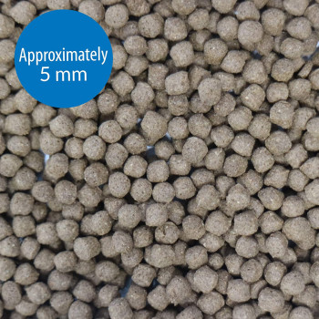 API Large Pellets Cichlid Fish Food 7.1 OZ