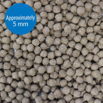 API Large Pellets Cichlid Fish Food 7.1 OZ