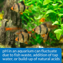 API pH Freshwater Aquarium Test & Adjuster Combo Kit 250 count