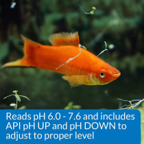 API pH Freshwater Aquarium Test & Adjuster Combo Kit 250 count