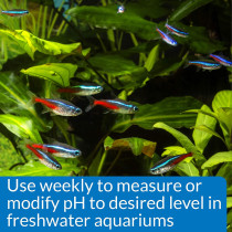 API pH Freshwater Aquarium Test & Adjuster Combo Kit 250 count