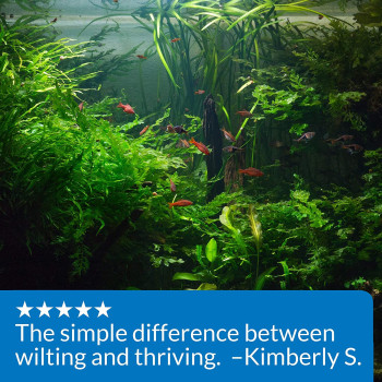 API CO2 Booster 16 OZ