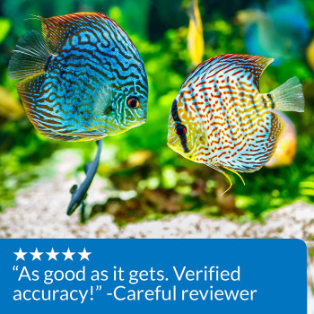 API KH Carbonate Hardness Test Kit