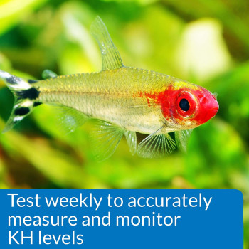 API KH Carbonate Hardness Test Kit