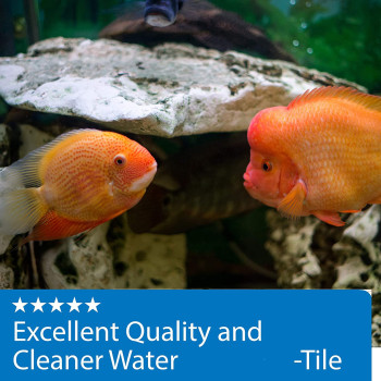 API Pellets Cichlid Fish Food 4.2 OZ